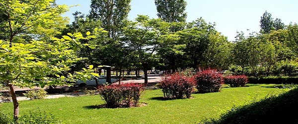 AWT IMAGE
