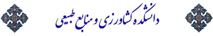 AWT IMAGE