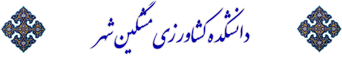 AWT IMAGE