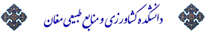 AWT IMAGE