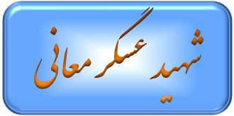 شهید معانی