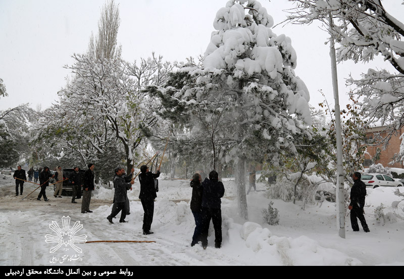 AWT IMAGE